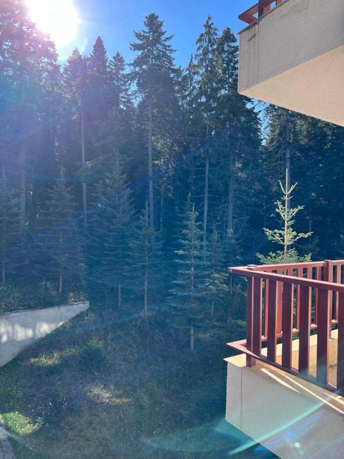 Arboro Flora Residence Studio Borovets Exterior photo