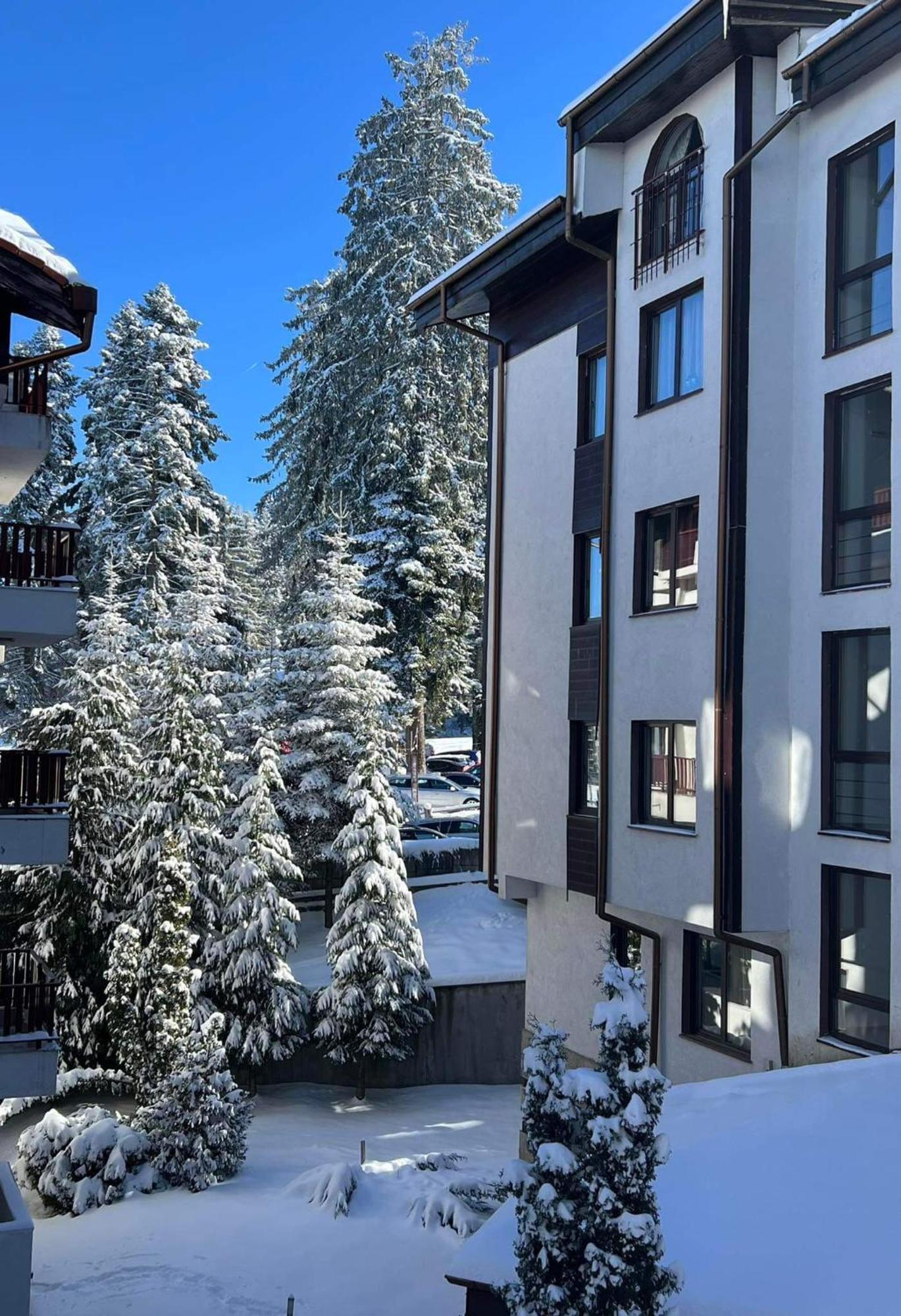 Arboro Flora Residence Studio Borovets Exterior photo