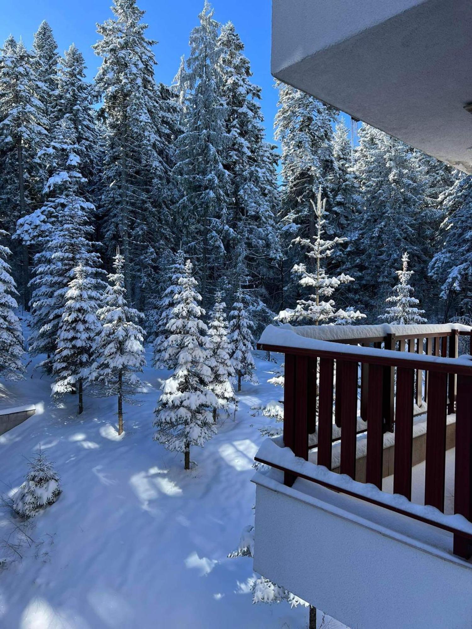 Arboro Flora Residence Studio Borovets Exterior photo